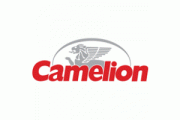 Инструкции к бытовой технике Camelion