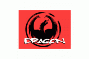 Инструкции к портативной технике Dragon